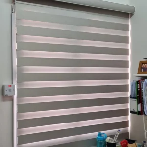 Window blinds