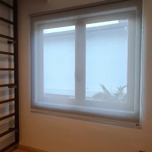 window blinds 