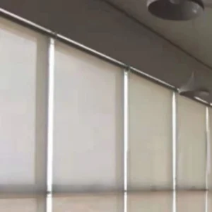 window blinds 