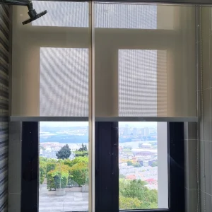 window blinds 
