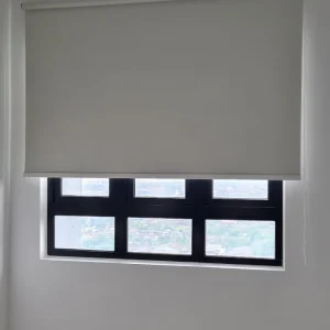 window blinds 