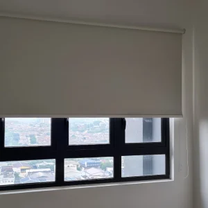 window blinds 