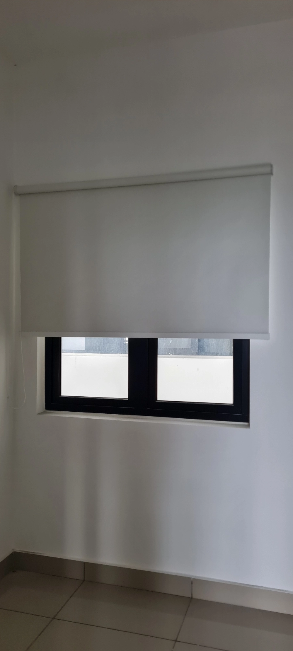 window blinds