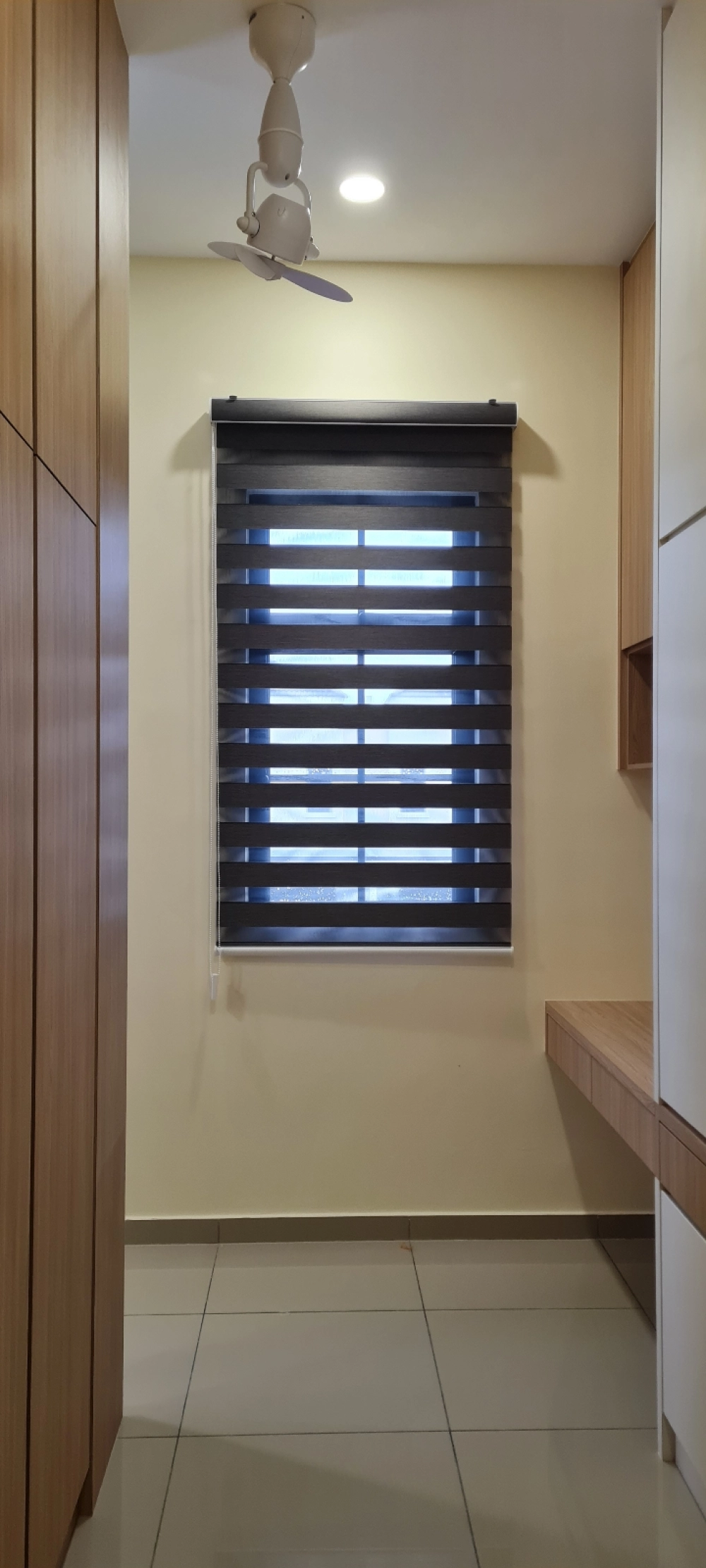 blackout Zebra blind