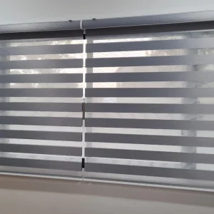 zebra blind