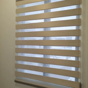zebra blind