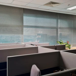 venetian blind 