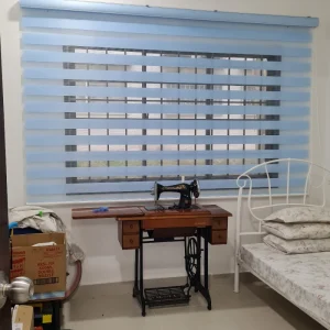 zebra blind