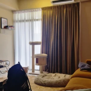 Double layer curtain 