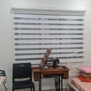 zebra blind