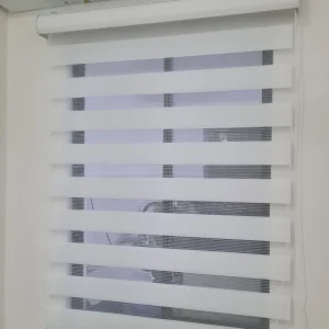zebra blind