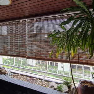 Bamboo blind 