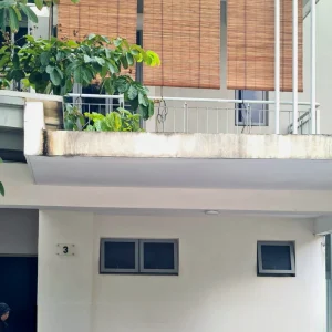 Bamboo Blinds