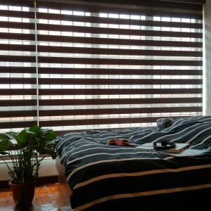 Zebra Blind