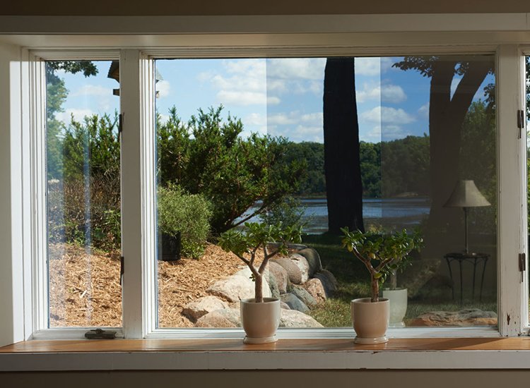 Window Tinted Film